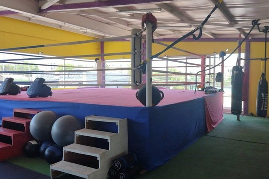 Imagen 2 de la galería del partner IronClub Boxing Gym