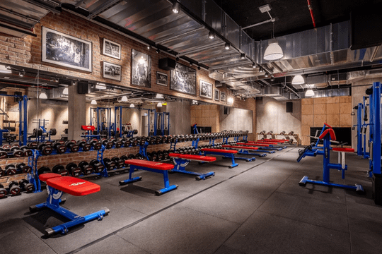 Immagine 1 dalla galleria del partner Gold's Gym Milano Monterosa