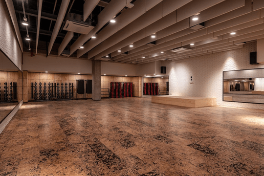 Immagine 2 dalla galleria del partner Gold's Gym Milano Monterosa