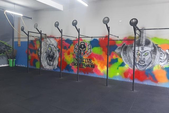 Imagem 1 da galeria do parceiro Invictus Cross Training