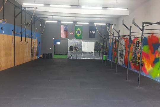 Imagem 3 da galeria do parceiro Invictus Cross Training