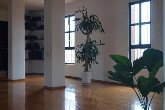 Imagen 3 de la galería del partner Balance Yoga Studio