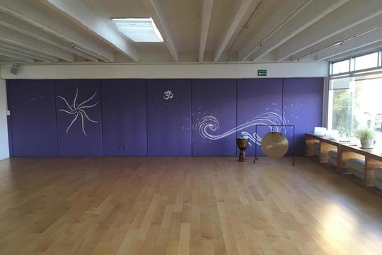 Imagen 3 de la galería del partner Soham Yoga