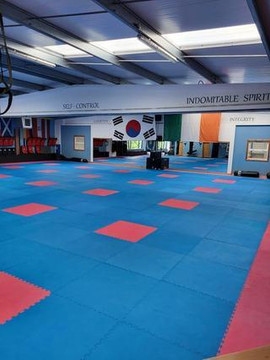 Image 2 from Athlone Taekwondo partner gallery