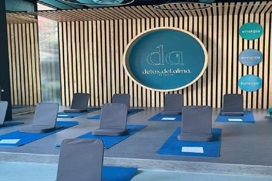 Imagen 1 de la galería del partner Detox del Alma Estudio
