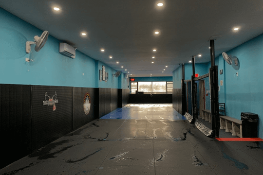Image 1 from Brooklyn Martial Arts partner gallery