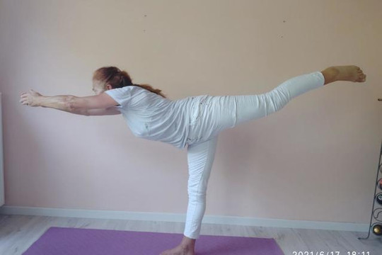 Bild 2 von Yoga Atelier Neckerstadt Partnergalerie