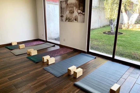 Imagen 1 de la galería del partner Namala Yoga