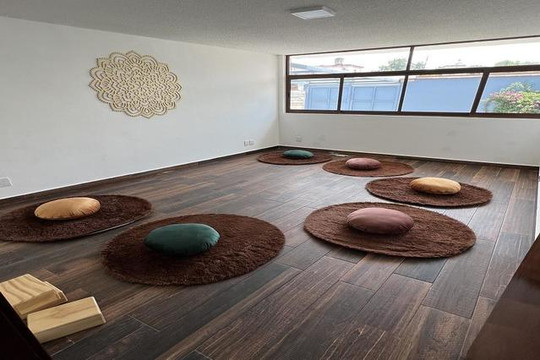 Imagen 3 de la galería del partner Namala Yoga