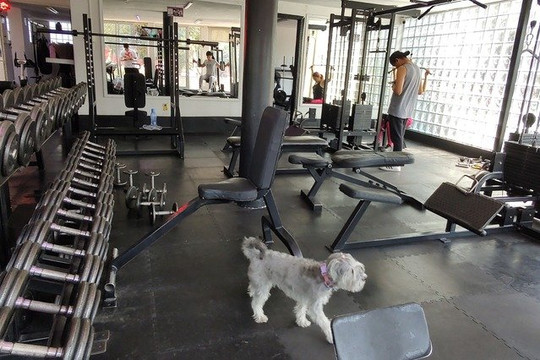 Imagen 3 de la galería del partner Retro Gym