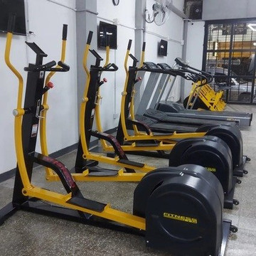 Imagen 1 de la galería del partner Lion Fitness Wilde