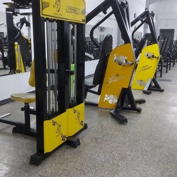 Imagen 3 de la galería del partner Lion Fitness Wilde