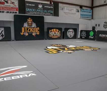 Image 1 from Gracie Largo- partner gallery