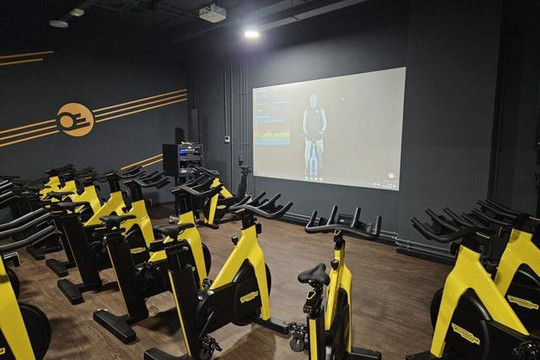 Imagen 1 de la galería del partner Synergym Torrevieja