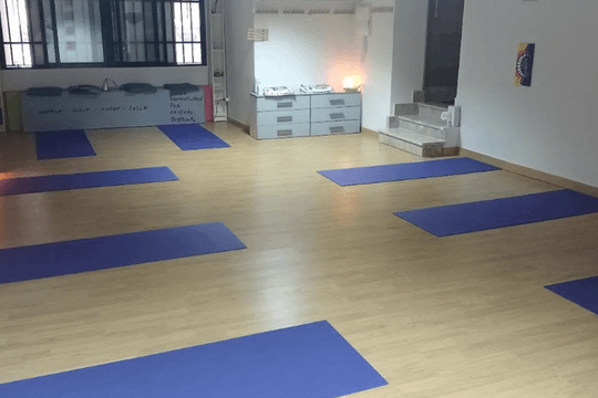 Imagen 2 de la galería del partner Nosoloyoga