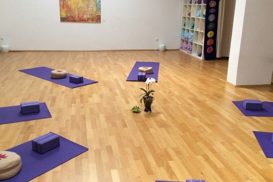 Bild 1 von Yoga Vidya Aachen Euregio Partnergalerie