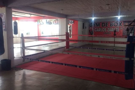 Imagen 2 de la galería del partner Gym de Box Carlos Zárate