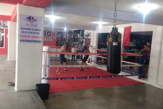 Imagen 3 de la galería del partner Gym de Box Carlos Zárate