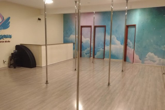 Imagem 1 da galeria do parceiro Pegasus - Pole Dance Studio