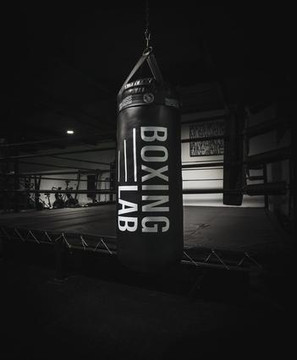Image 2 from Boxing Lab partner gallery