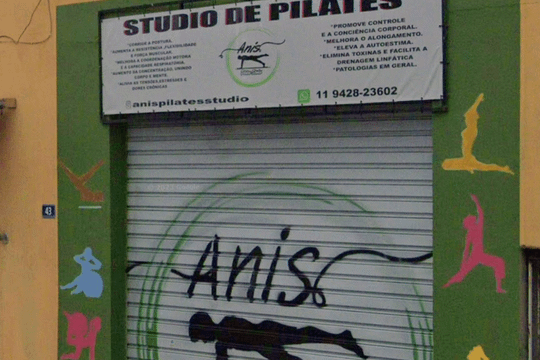 Imagem 2 da galeria do parceiro Anis Pilates Studio