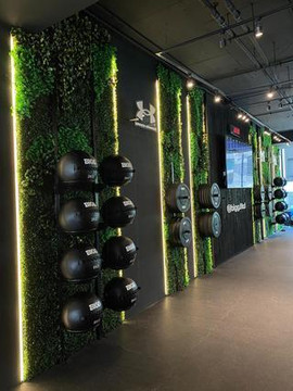 Imagen 3 de la galería del partner Bigg La Dehesa