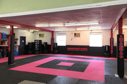 Image 1 from Tioga Tae Kwon Do partner gallery