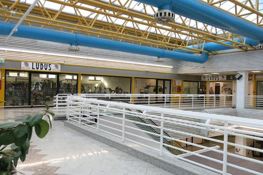 Immagine 2 dalla galleria del partner Palestra Ludus