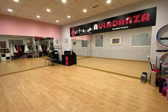 Imagen 1 de la galería del partner Auladanza