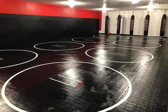 Image 1 from Acropolis Grappling partner gallery
