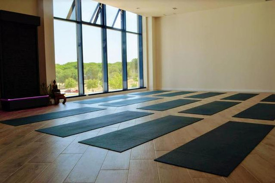 Imagen 2 de la galería del partner Yoga Space Majadahonda