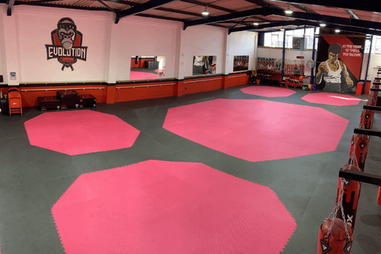Image 3 from Evolution Taekwondo partner gallery