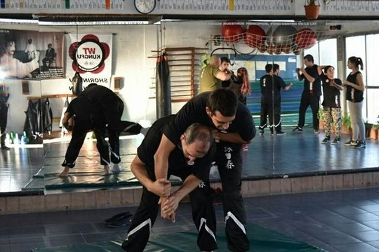 Imagen 2 de la galería del partner Wt Kung Fu - Hurlingham