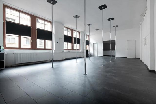 Bild 3 von Dance & Pole Deltawerk Solingen Partnergalerie