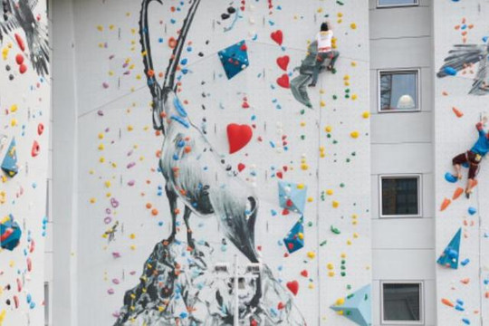 Bild 2 von Heavens Gate Klettern & Bouldern Partnergalerie