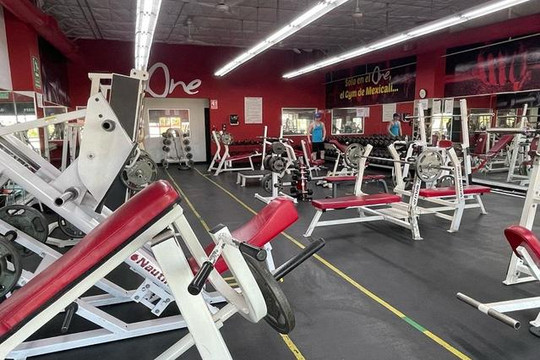 Imagen 2 de la galería del partner One Premium Gym