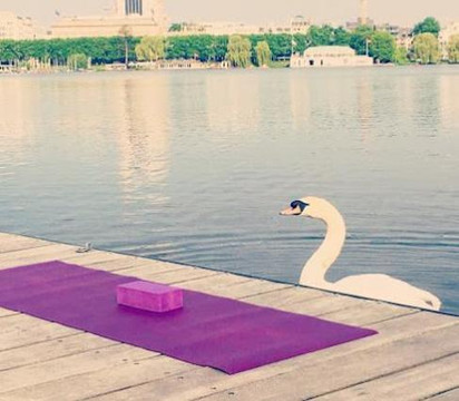 Bild 3 von Ifflandstraße - Yoga an der Alster Partnergalerie