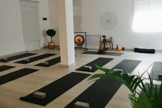 Imagen 1 de la galería del partner Vinyasa Yoga Estudio