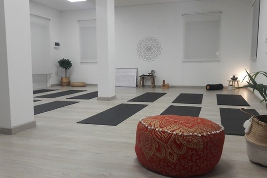 Imagen 3 de la galería del partner Vinyasa Yoga Estudio