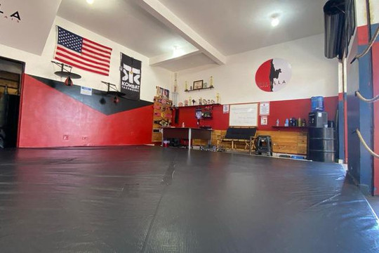 Imagem 3 da galeria do parceiro Vilella Artes Marciais
