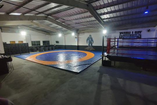 Imagem 1 da galeria do parceiro Gorillas Fight Club