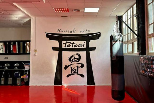 Imagen 3 de la galería del partner Club Esportiu Tatami
