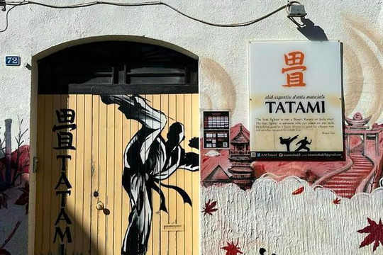 Imagen 2 de la galería del partner Club Esportiu Tatami
