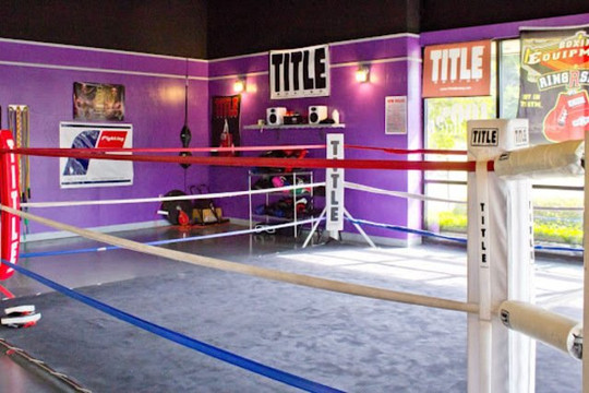 Image 1 from Gillespie Boxing partner gallery