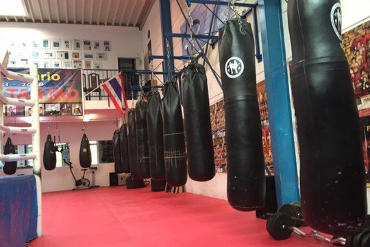 Bild 3 von Chinese Boxing Akademie Partnergalerie