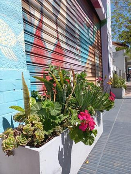 Imagen 3 de la galería del partner Palo santo