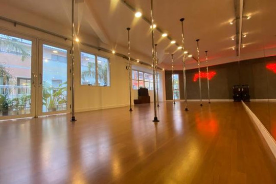Imagem 3 da galeria do parceiro Pin Up Pole Studio Barra
