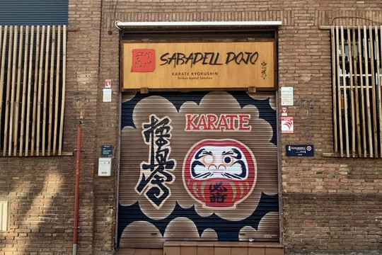 Imagen 2 de la galería del partner Dojo Sabadell