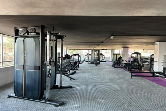 Imagen 3 de la galería del partner MrFitMx Cosmovitral