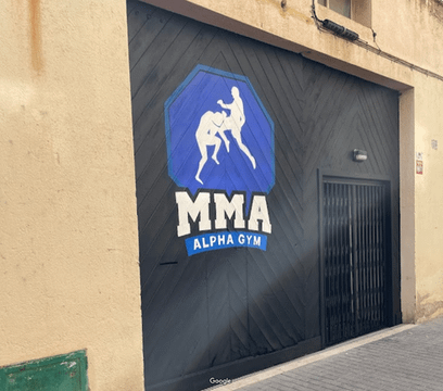 Imagen 2 de la galería del partner ALPHA GYM MMA